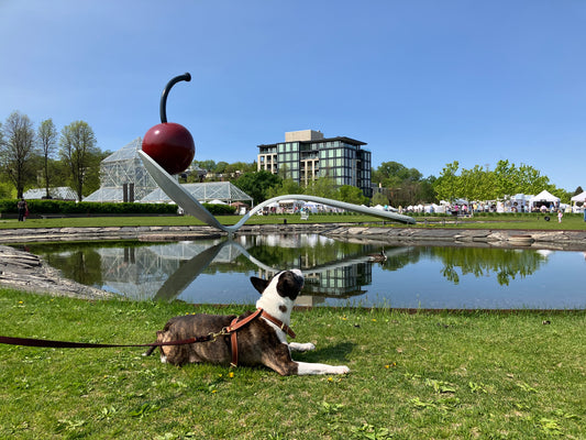 May 2024 Recap - Mother's Day, Art Markets and Neighborhood Blooms