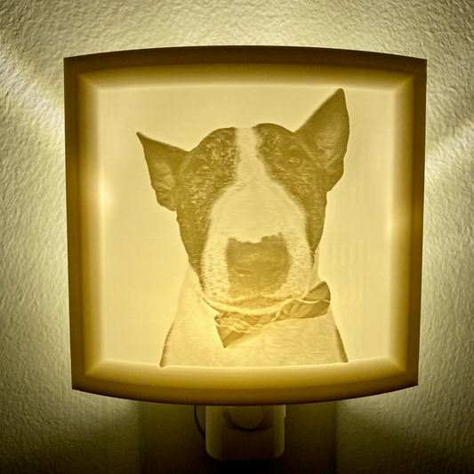 Frankie bow tie  Lithophane Nightlight