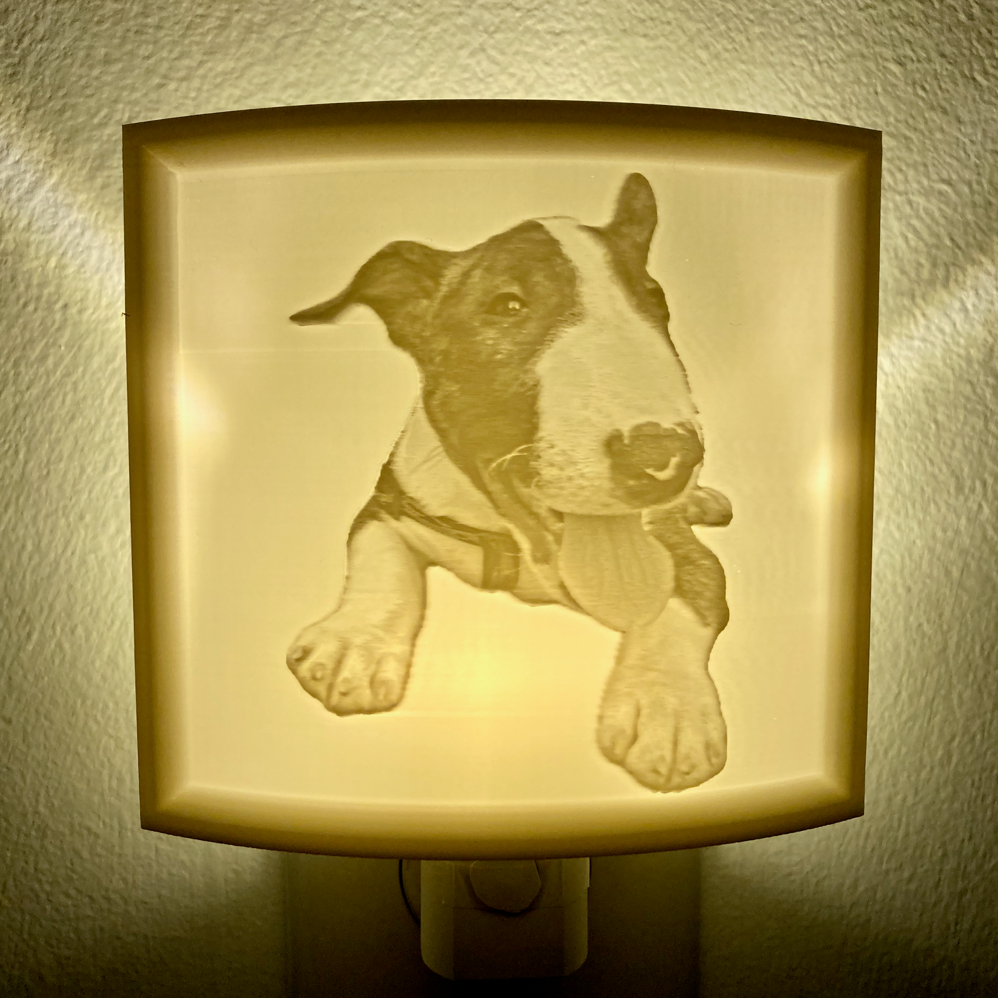 Frankie puppy Lithophane Nightlight