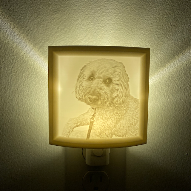 3D Printed Custom Photo Lithophane Nightlight