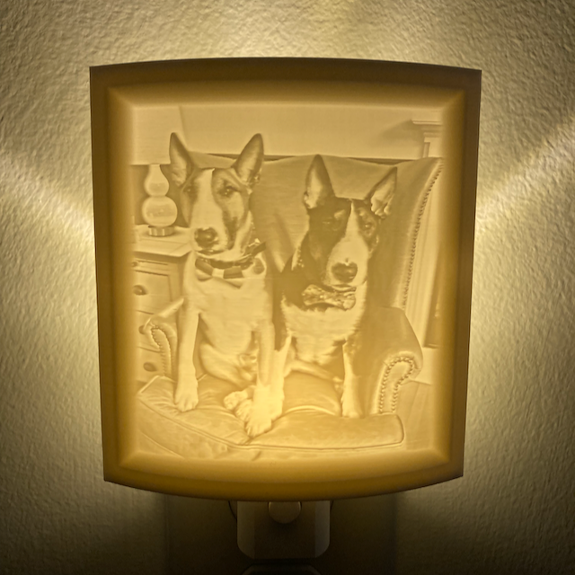 3D Printed Custom Photo Lithophane Nightlight