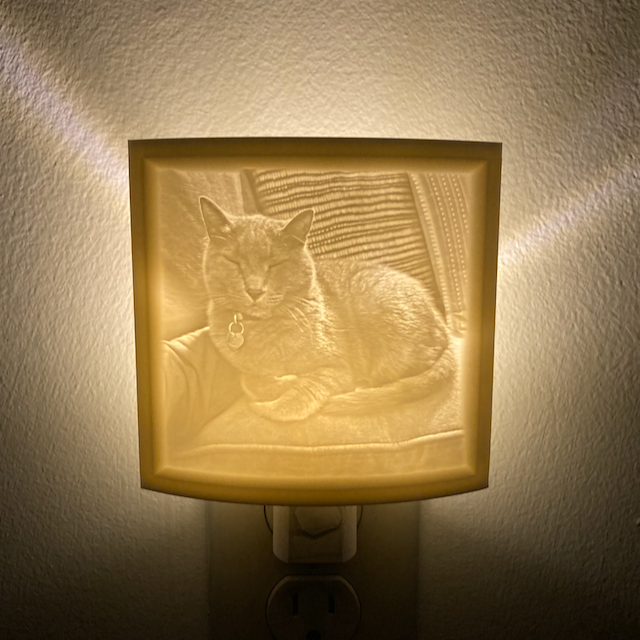 3D Printed Custom Photo Lithophane Nightlight