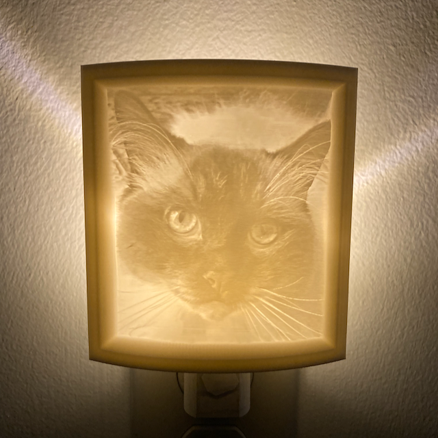 3D Printed Custom Photo Lithophane Nightlight
