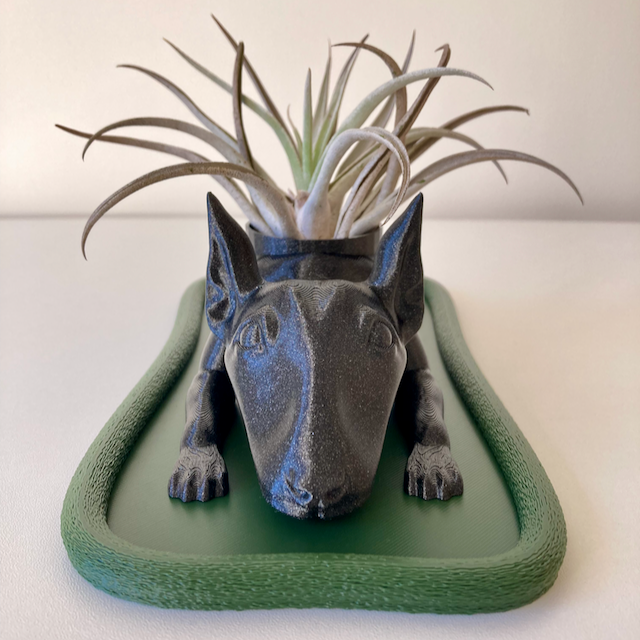 Relaxing Bull Terrier Planter