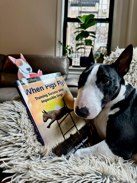 Reading Bull Terrier Bookmark