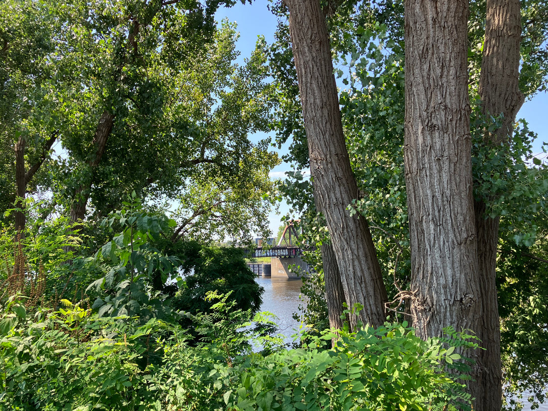 View of the Mississippi River taken from northeast Minneapolis