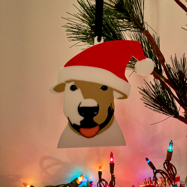 Bull Terrier with a big Santa hat