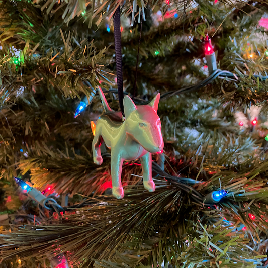 Bull Terrier with a silky green and red finish