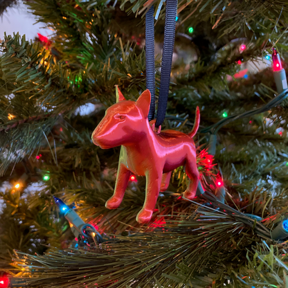 Bull Terrier with a silky green and red finish