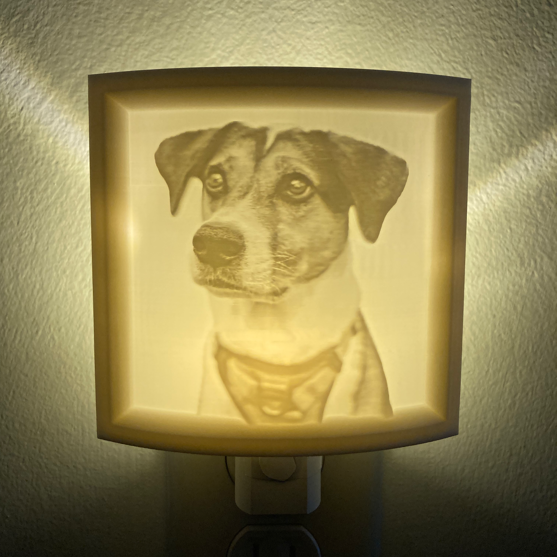 Gunther Lithophane Nightlight