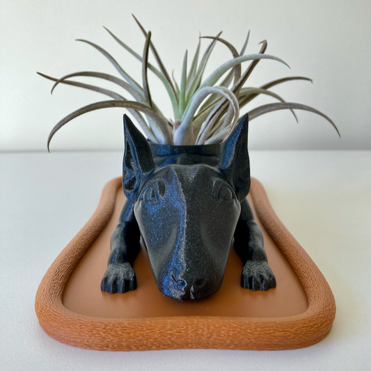Maceta de bull terrier perezoso