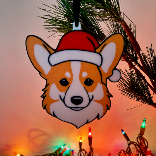 A Corgi with a Santa hat