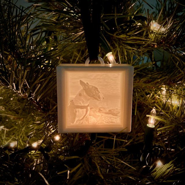 Personalized Mini Lithophane Ornament Lightbox
