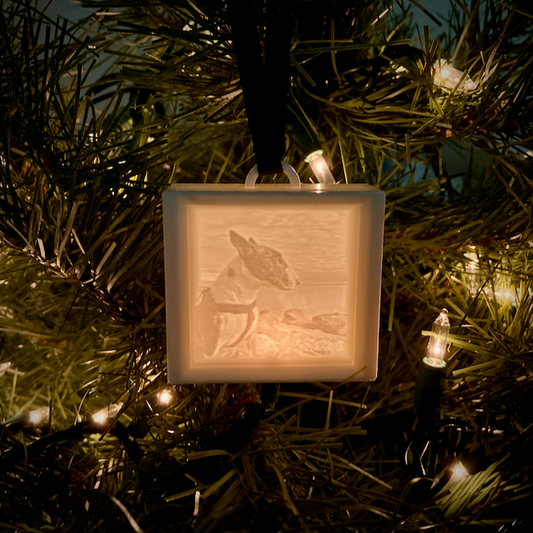 Personalized Mini Lithophane Ornament Lightbox